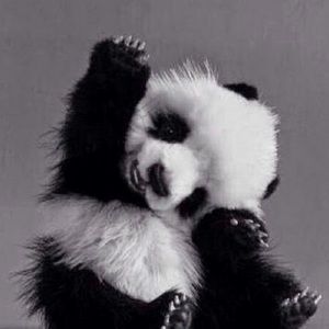 Meet your Posher, Cadence